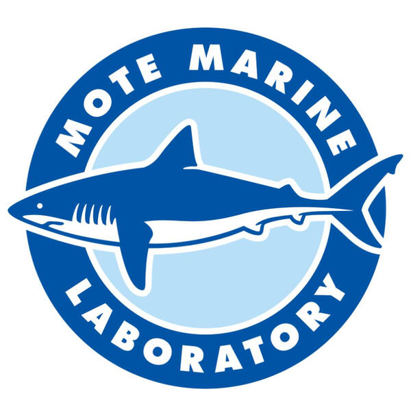 Mote Marine Logo Mote Marine Logo